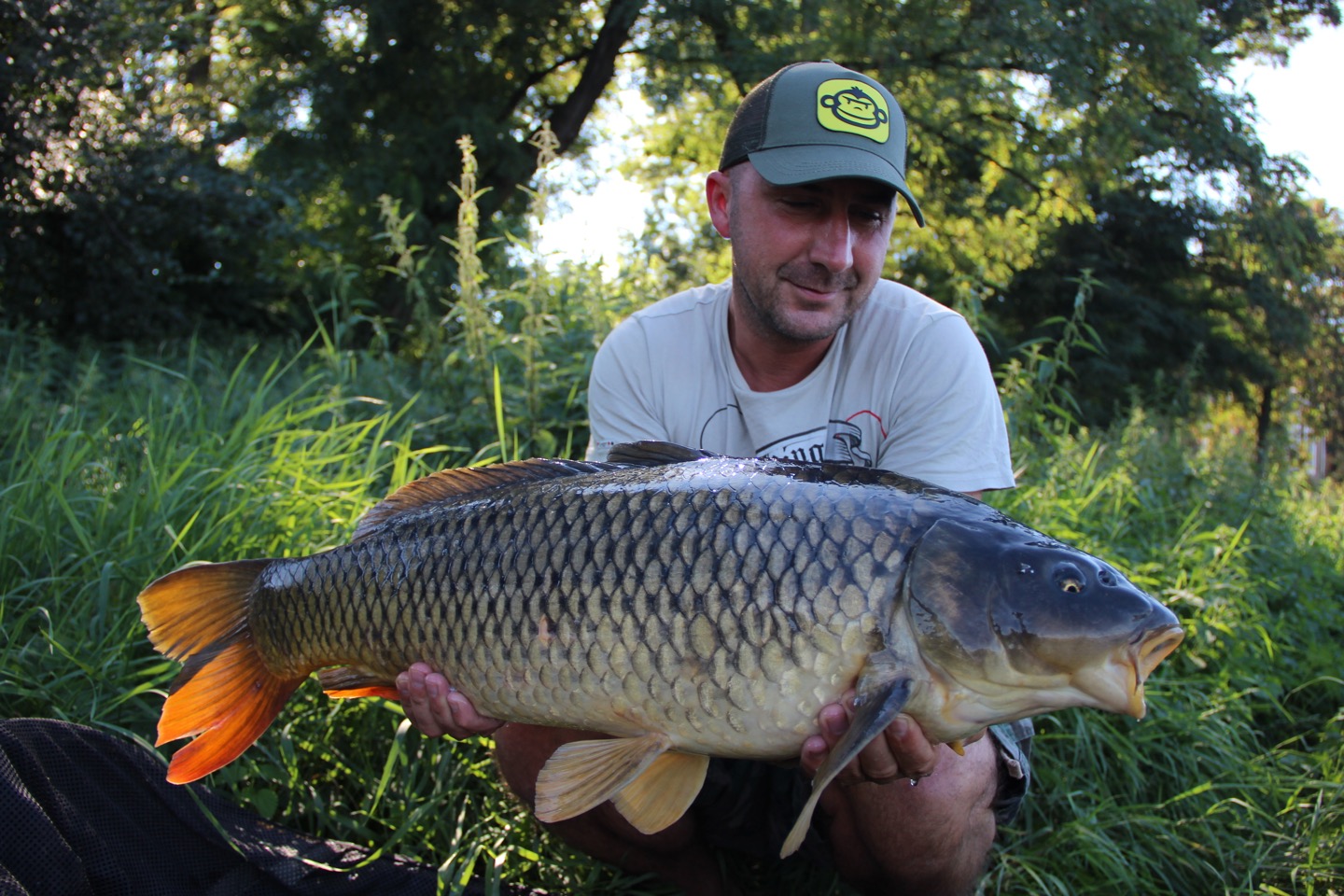 DAVID FOŘT | Carp Time - historie a budoucnost